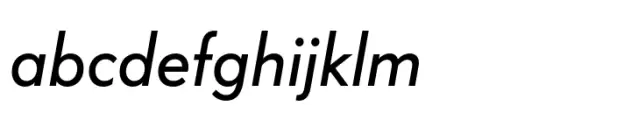 FF Bauer Grotesk Paneuropean Book Italic