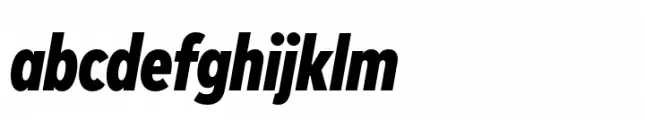 FF Mark Paneuropean Condensed Black Italic