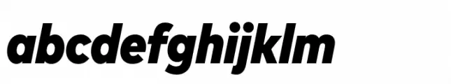 FF Mark Paneuropean Narrow Black Italic