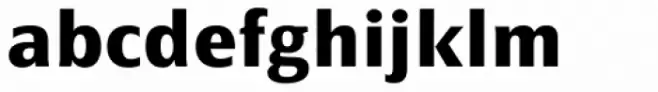 FF Page Sans OT Bold