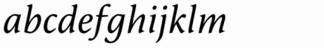 FF Reminga Pro Italic