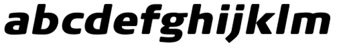 FF Signa Round Pro Extra Black Italic