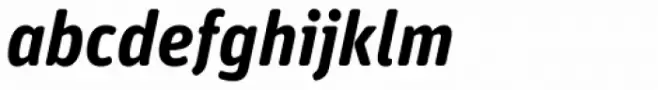 FF Unit Rounded Std Bold Italic
