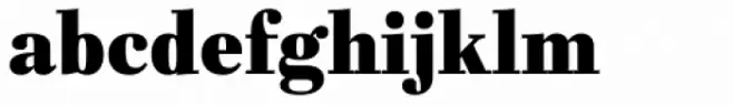 Fiorina Subhead Black