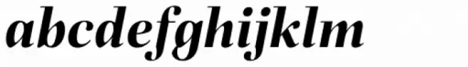 Fiorina Title Bold Italic