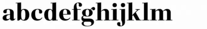 Fiorina Title Bold