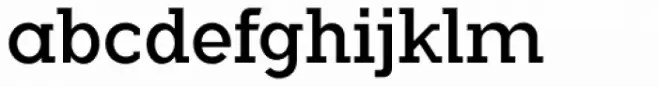 Flamante Serif Book