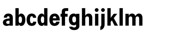 Flexible Sans Bold Condensed
