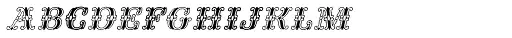 Fontaniolo Italic
