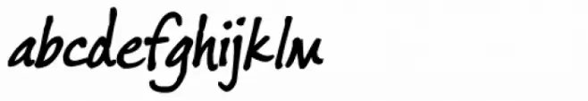 Fords Folly Bold Italic