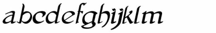 Gans Antigua Manuscrito Italic