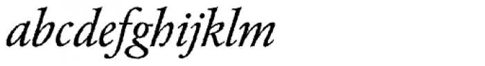 Garamond Rough H EF Italic