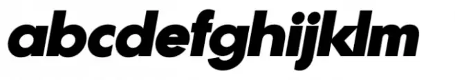 Gonzi Black Italic