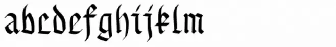 Gothamburg Bold
