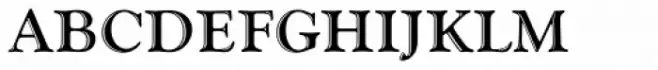 Goudy Handtooled DC D