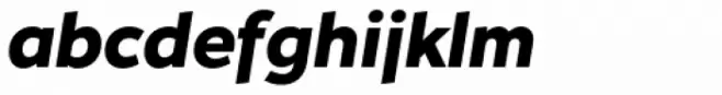 Hartwell Alt Black Italic