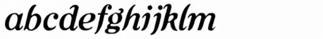 Hearst Italic
