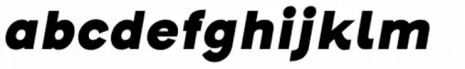Henderson Sans Basic Black Italic