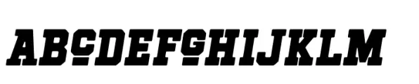 Hockeynight Serif Black Italic