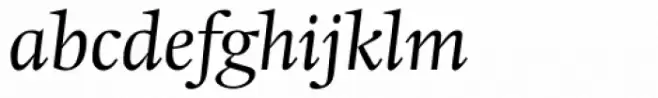 Hollander Italic