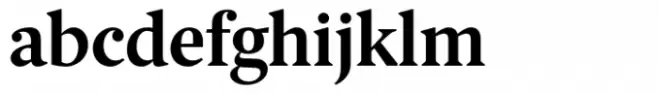 ID00 Serif Std Bold