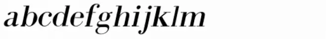 Intellecta Bodoned Italic