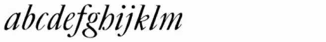 ITC Founders Caslon 42 Italic