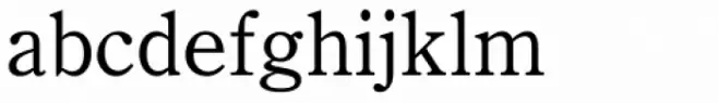 Iwata News Mincho Pro Medium