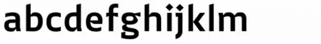 Jheronimus Bold