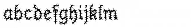 Kaktis Phro
