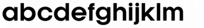 Kamerik 105 Bold