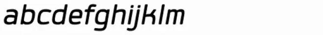 Labrador B Medium Italic
