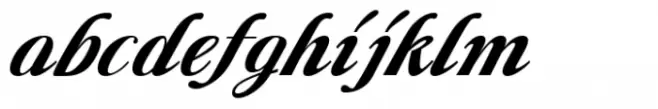 Liliane Classe Bold Italic