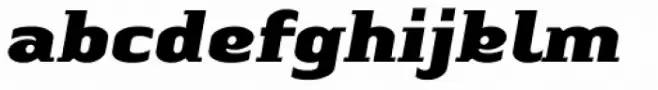 Linotype Authentic Small Serif Pro Black Italic