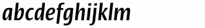 Linotype Ergo Pro Bold Compressed Italic