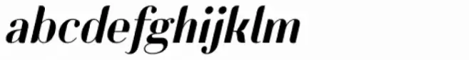 Lynx Italic
