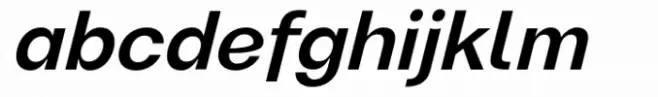 Magnify PRO Medium Italic