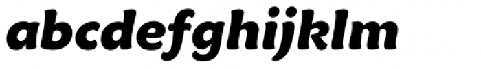 Maiandra GD Pro Black Italic