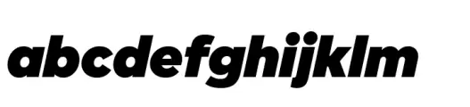 Manifestor Black Italic
