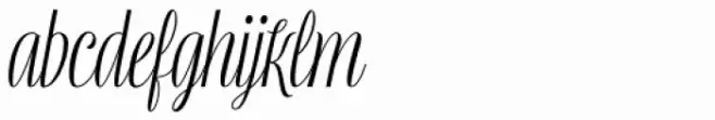 Mentha Medium