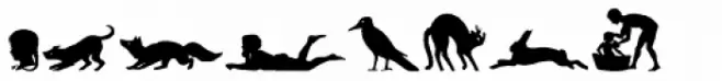 Mixed Silhouettes