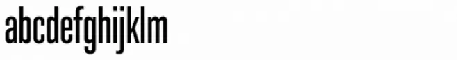 Molde Compressed Bold