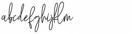 Mollaroid Signature Regular