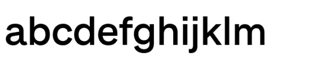 Monto Grotesk Display Medium