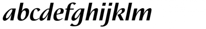 Nautilus Text Pro Bold Italic