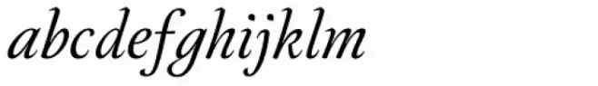 Neftali Pro Thin Italic