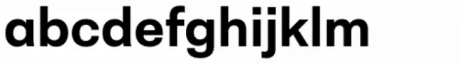 Neogrotesk Essential Alt Bold