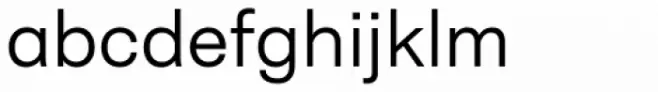 Neogrotesk Essential Alt Light