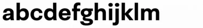 Neogrotesk Essential Bold