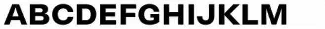 Neogrotesk Small Caps Bold